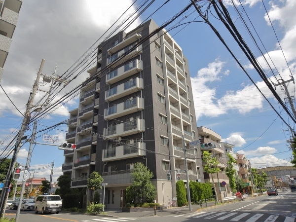 キャヴィム綾瀬