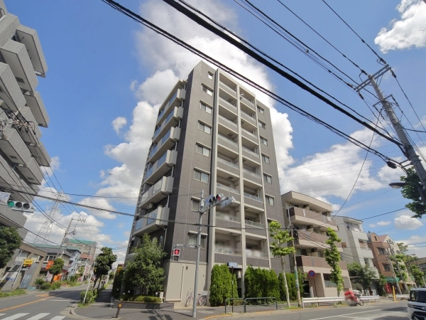 キャヴィム綾瀬