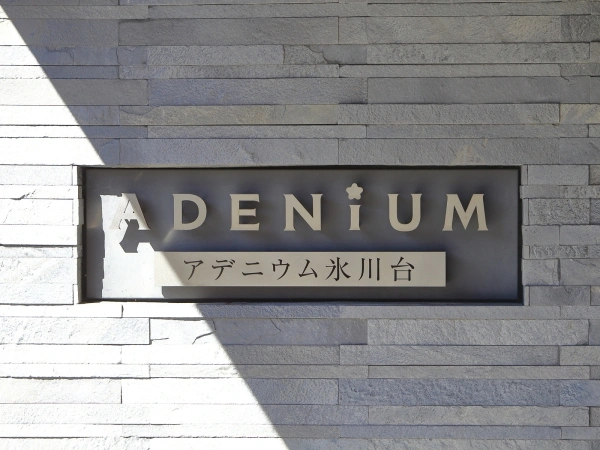 アデニウム氷川台