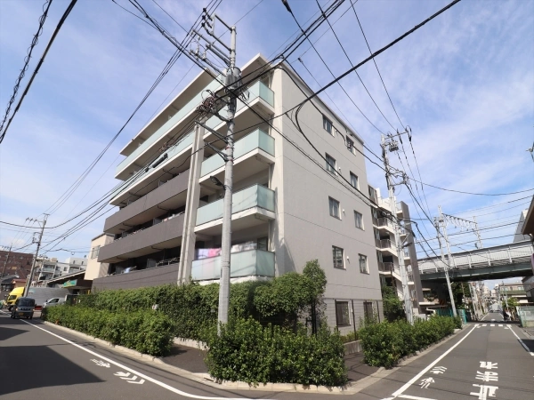 アデニウム志村ブルームフォート