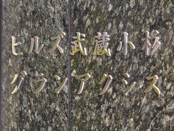 ヒルズ武蔵小杉グランアクシス