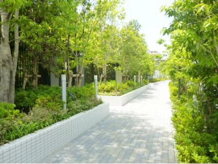 シティテラス成増
