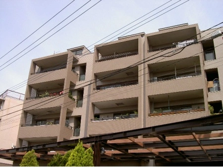 ライム長津田