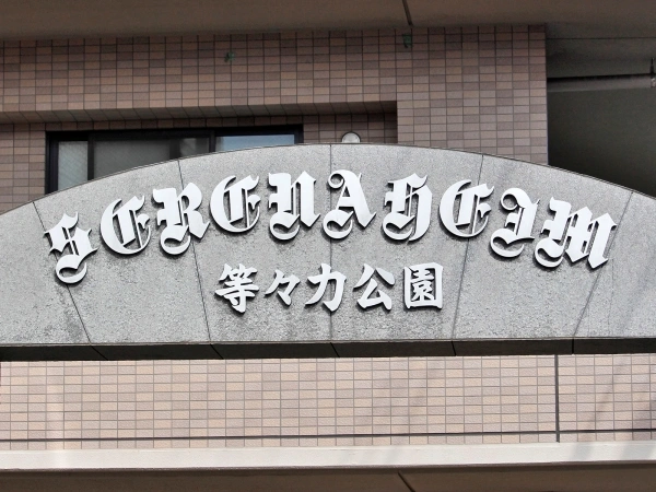 セレナハイム等々力公園
