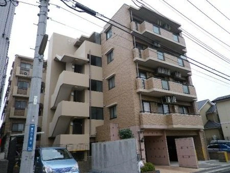 セザール等々力緑地