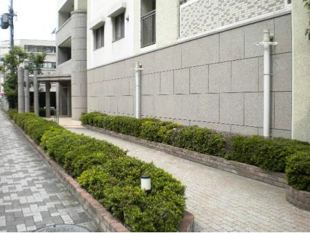 ネバーランド江坂垂水町