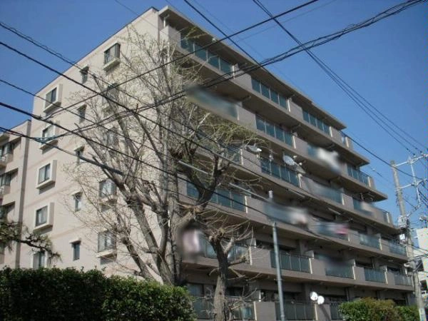 ヒルズ武蔵小杉