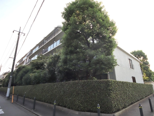 武蔵野中町スカイハイツ