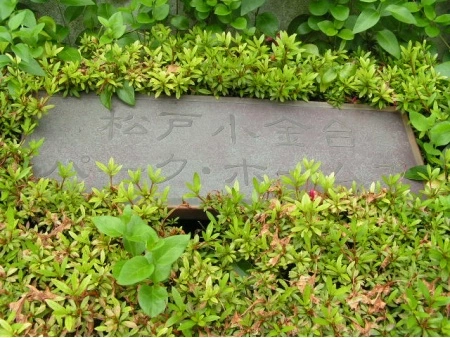 松戸小金台パークホームズ