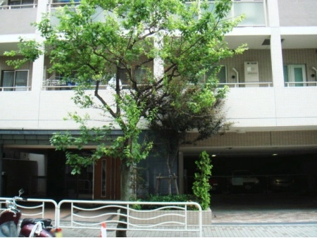 東急ドエル・アルス東陽町