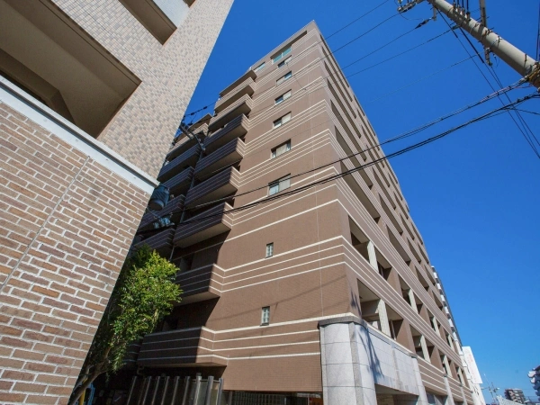 ドルフ灘スタツィオ