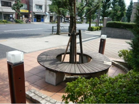 ミオカステーロ武蔵小山 敷地内