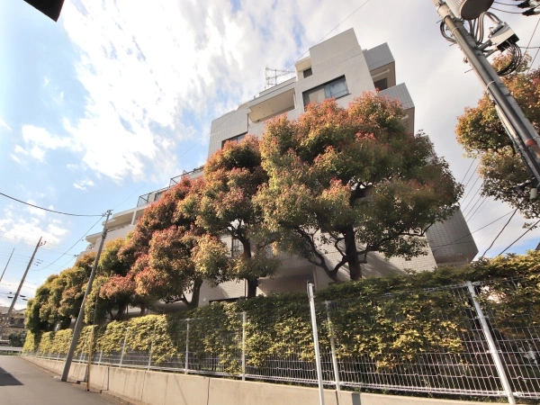 クリオ南万騎が原壱番館