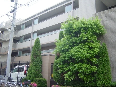 藤和シティホームズ常盤平