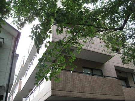 藤和シティホームズ深沢