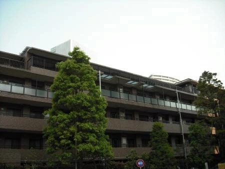 ラビ目黒