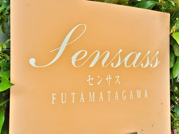 センサス二俣川