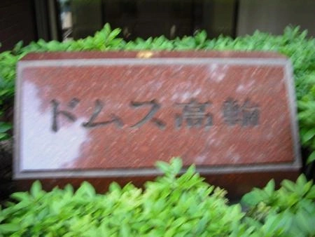 ドムス高輪