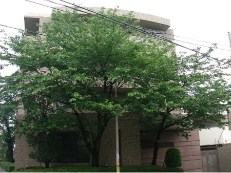 保土ヶ谷桜ヶ丘パークホームズ弐番館