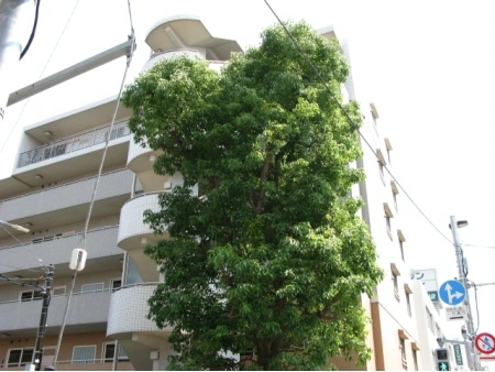 立川パークホームズ