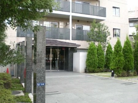 アデニウム高輪