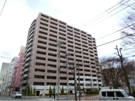 アデニウム新横浜