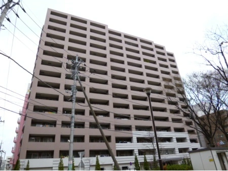 アデニウム新横浜