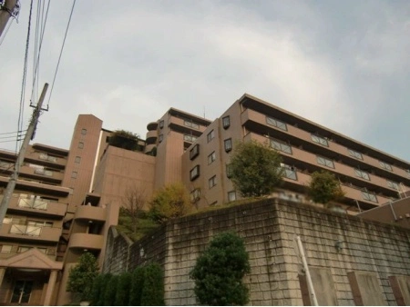 ラムセス横浜星川