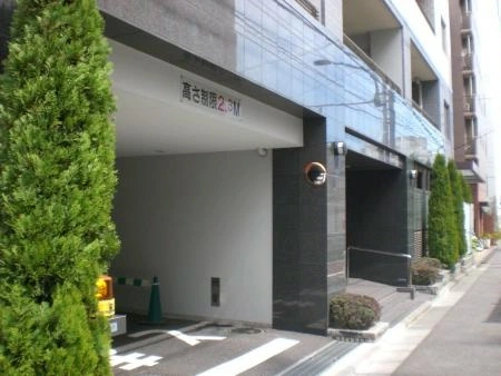 エルラフィナ白金