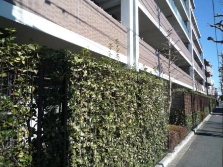 セントラルコート井荻ブライトリーヴス