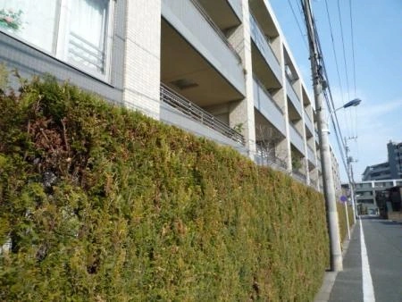 アドゥー氷川台