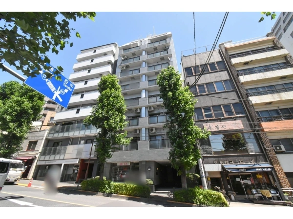 東急ドエルアルス白山
