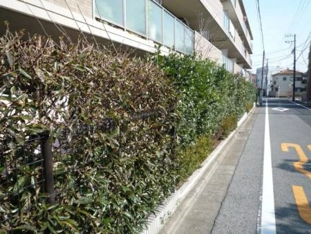 エンゼル氷川台コートI