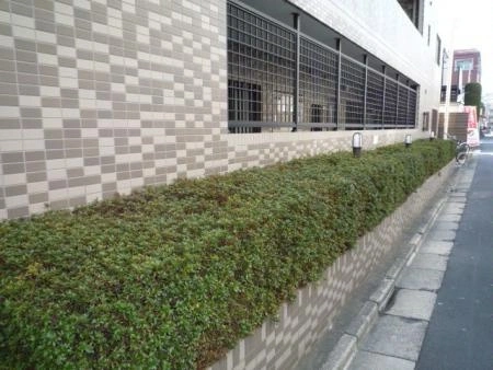 モアグランデ氷川台
