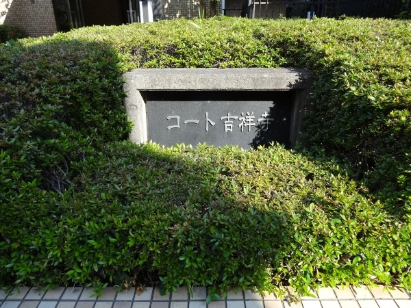 コート吉祥寺
