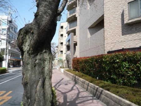 グローリオ大泉学園