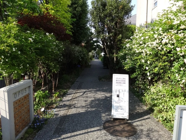 オーパス