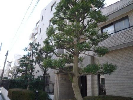 中村北パークホームズ