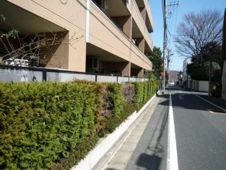 クリオ鷺の宮弐番館 植栽