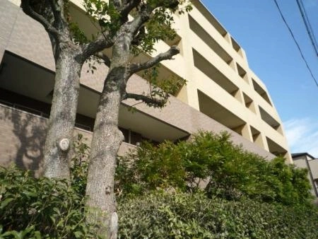 ライオンズガーデン練馬南