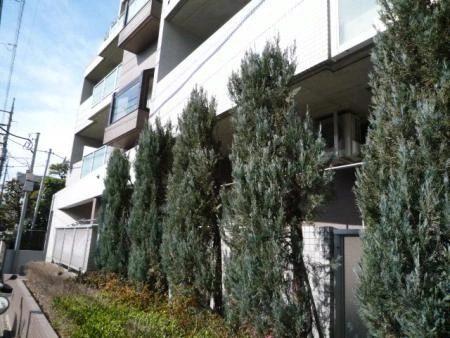 グランエスト豊玉南 植栽