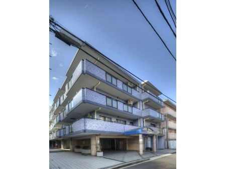 セザール代々木
