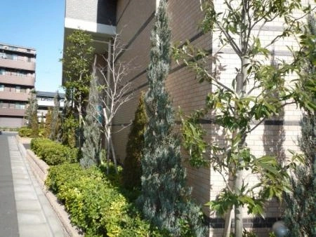 シーズガーデン新江古田