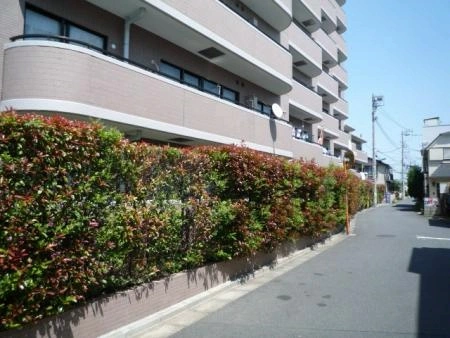 パークハイツ光が丘