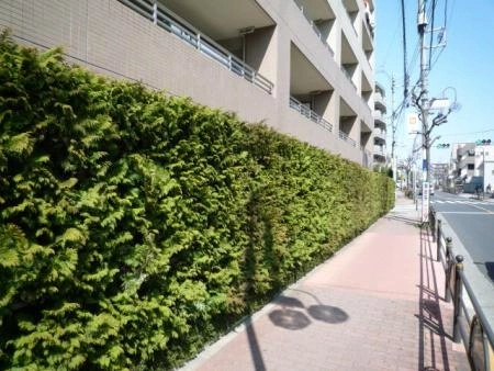 パークホームズ光が丘