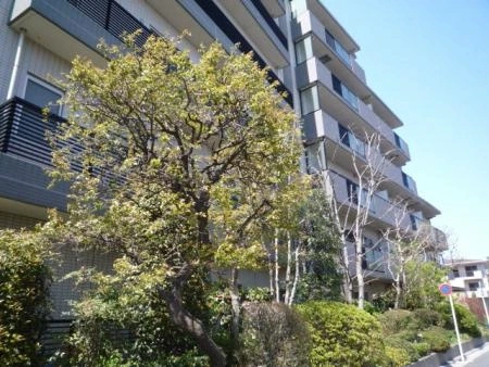 エコヴィレッジ光が丘公園