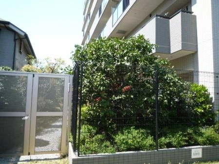 エコヴィレッジ光が丘公園