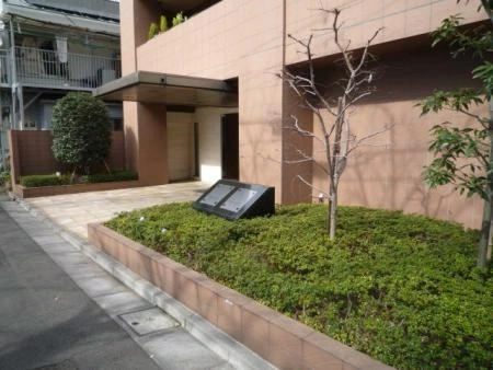 プロステージ桜台 植栽