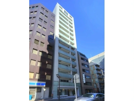 日本橋八重洲デュープレックスポーション
