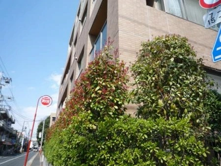 白鷺パークハウス中杉通り